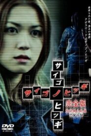 The Last Coffin 2003 one on netflix