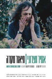 Amir Hetsroni: Case Study 2020 one on netflix