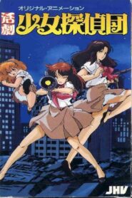 Girl Detective Club 1986 one on netflix