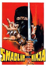 Shaolin vs. Ninja 1983 one on netflix