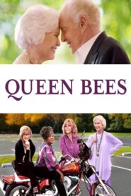 Queen Bees 2021 one on netflix