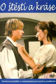 O štěstí a kráse 1986 one on netflix