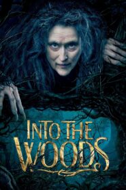 Into the Woods 2014 one on netflix