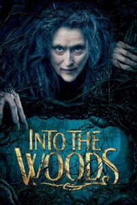 Into the Woods 2014 one on netflix