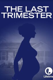 The Last Trimester 2007 one on netflix
