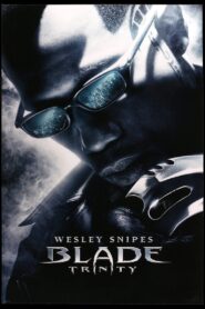 Nightstalkers, Daywalkers, and Familiars: Inside the World of ‘Blade: Trinity’ 2005 one on netflix