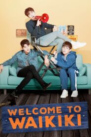 Welcome to Waikiki 2018 one on netflix