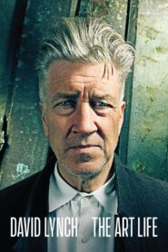 David Lynch: The Art Life 2017 one on netflix