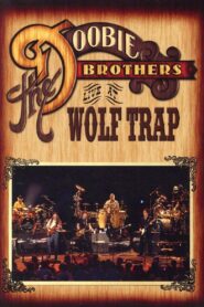 The Doobie Brothers – Live at Wolf Trap 2004 one on netflix