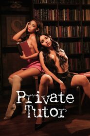 Private Tutor 2024 one on netflix