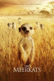 The Meerkats 2008 one on netflix