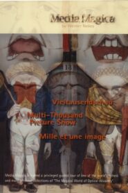 Multi-Thousand Picture Show 1996 one on netflix