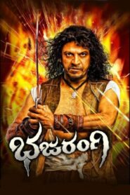 Bhajarangi 2013 one on netflix
