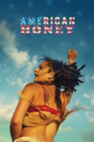 American Honey 2016 one on netflix