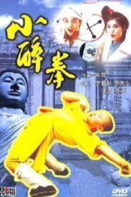 The Little Drunken Masters 1995 one on netflix