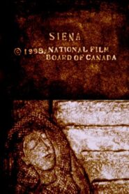Siena 1999 one on netflix