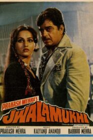 Jwalamukhi 1980 one on netflix