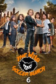 The Wild Soccer Bunch 6 2016 one on netflix