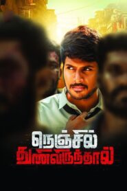 Nenjil Thunivirunthal 2017 one on netflix