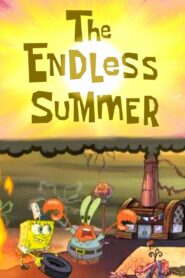The Endless Summer 2005 one on netflix