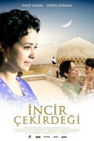 İncir Çekirdeği 2009 one on netflix