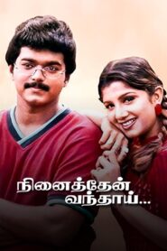 Ninaithen Vandhai 1998 one on netflix