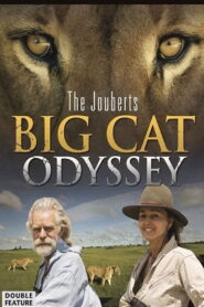 Big Cat Odyssey 2010 one on netflix