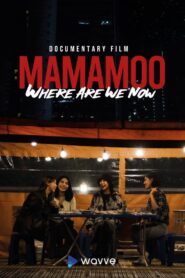 Mamamoo: Where Are We Now? 2022 one on netflix