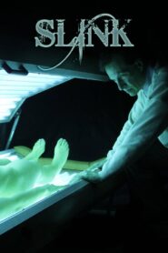 Slink 2013 one on netflix