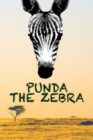 Punda the Zebra 2017 one on netflix