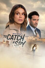 To Catch a Spy 2021 one on netflix
