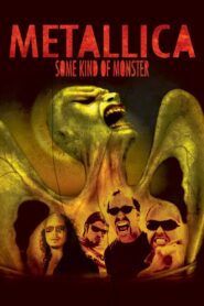 Metallica: Some Kind of Monster 2004 one on netflix