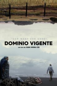 Dominio Vigente 2021 one on netflix