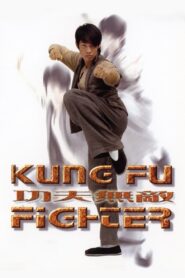 Kung Fu Fighter 2007 one on netflix