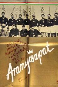 Aranycsapat 1982 one on netflix