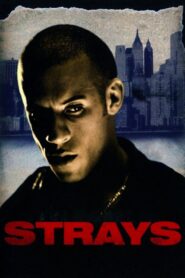 Strays 1997 one on netflix