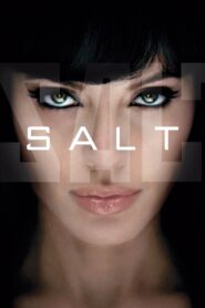 Salt 2010 one on netflix