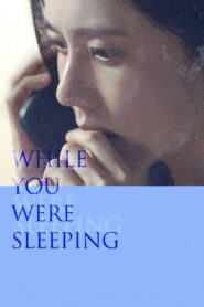 While You Were Sleeping 2024 one on netflix