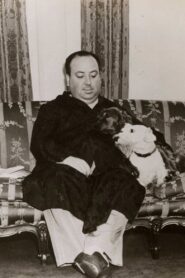 Alfred Hitchcock: The Early Years 2004 one on netflix