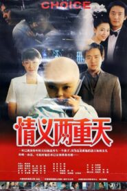 情义两重天 2000 one on netflix