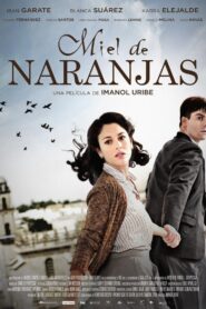 Orange Honey 2012 one on netflix