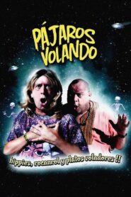 Pájaros volando 2010 one on netflix