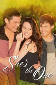 She’s The One 2013 one on netflix