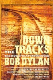 Down the Tracks: The Music That Influenced Bob Dylan 2008 one on netflix