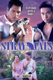 Mga Pusang Gala 2005 one on netflix