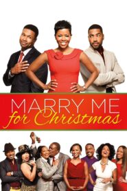 Marry Me For Christmas 2013 one on netflix