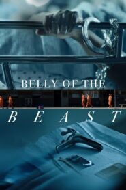 Belly of the Beast 2020 one on netflix