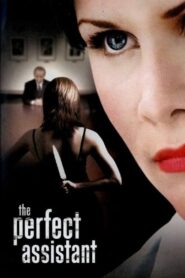 The Perfect Assistant 2008 one on netflix