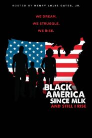 Black America since MLK: And still I rise 2016 one on netflix