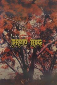 Prem Rog 1982 one on netflix